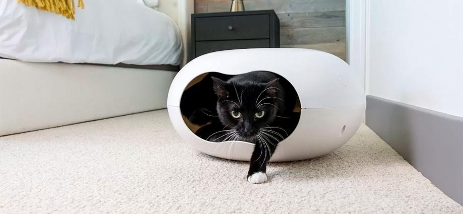 The Best Cat Houses In 2024 Full Reviews And Definitive Guide By   Cat Houses 920 