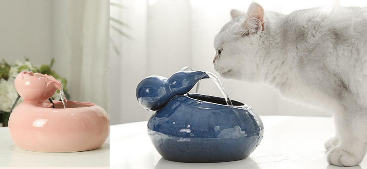 10 Best Cat Water Fountains in 2024 ⛲ Water Dispensers Reviews & Guide