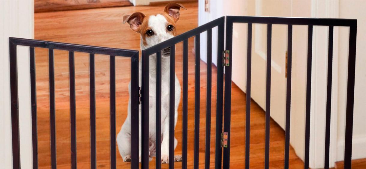 10 Best Dog Gates in 2024 🔝 Top Rated Gates for Dogs and Puppies