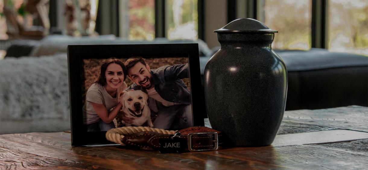 Best Dog Urns of 2024 👍 Top 10 Rated Pet Urns for Dogs by