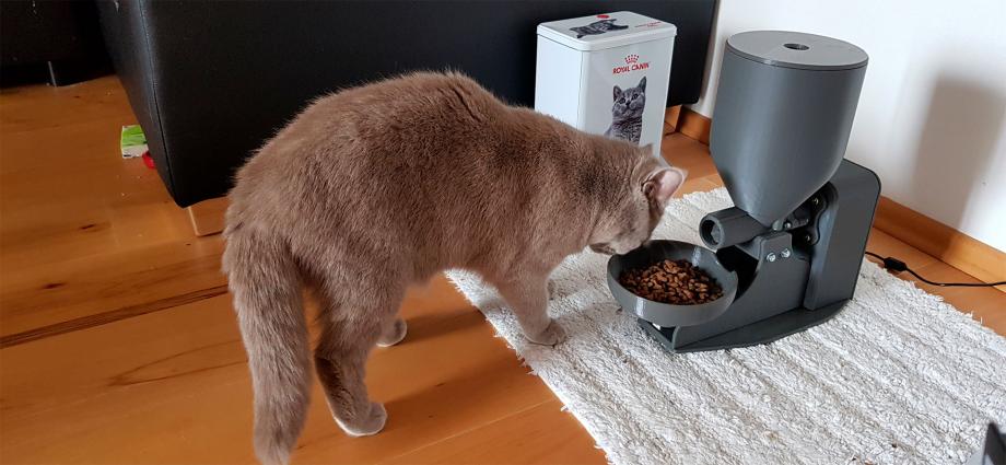 microchip cat feeder for multiple cats