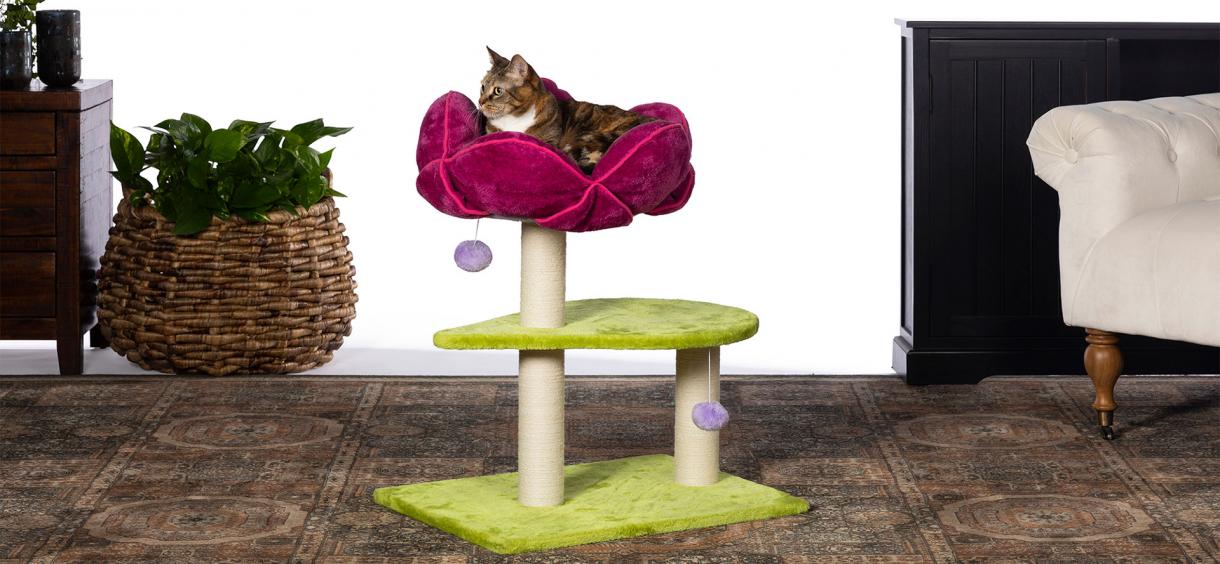 Best Cat Trees of 2024 ️ Top Rated Unique Trees For Your Cat on