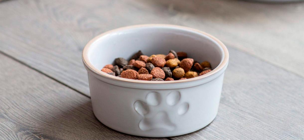 10 Best Puppy Foods in 2023 Reviewed 🥰 Top Rated Vet Food