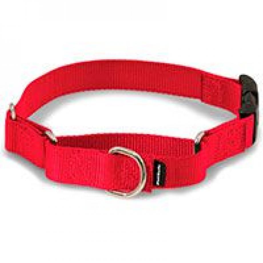 💯 Top Rated Martingale Dog Collars ️ Reviewed of 2021 by