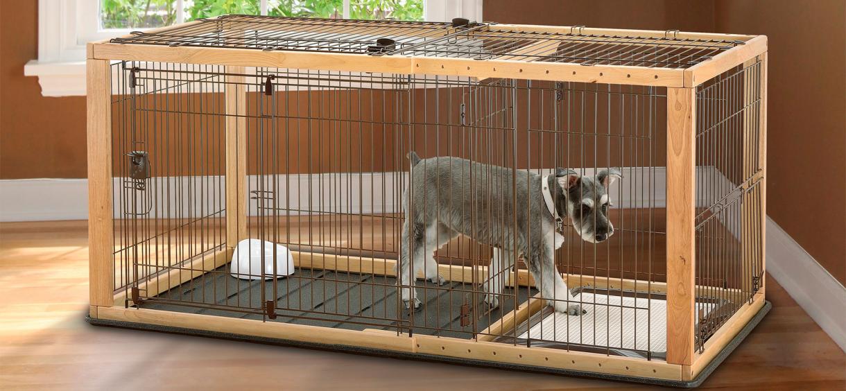 10 Best Dog Pens in 2024 🐩 Reviewed by Types & Breeds