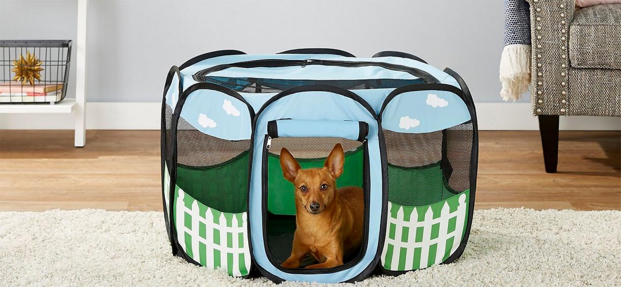 10-best-dog-playpens-of-2024-reviews-place-to-play-for-your-puppy