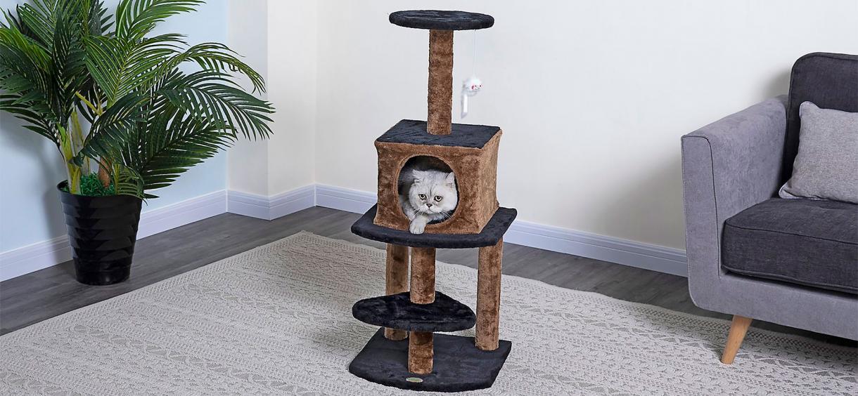 10 Best Cat Towers of 2024 Reviews 🤩 Complete Guide To Buying The Best