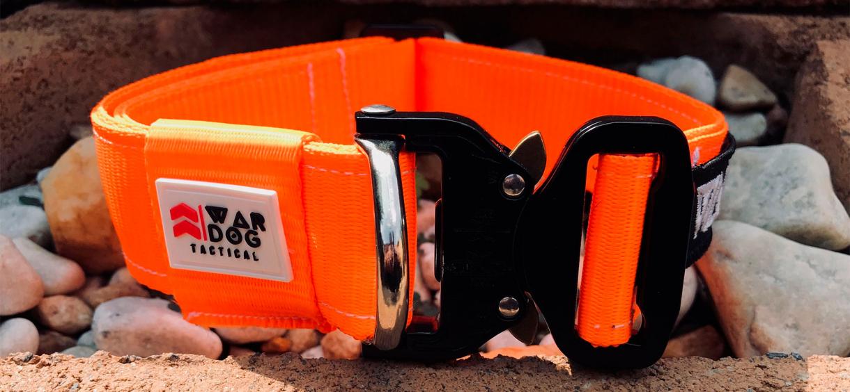 Best Tactical Dog Collars in 2024 😍 Top Rated Strong Collars for