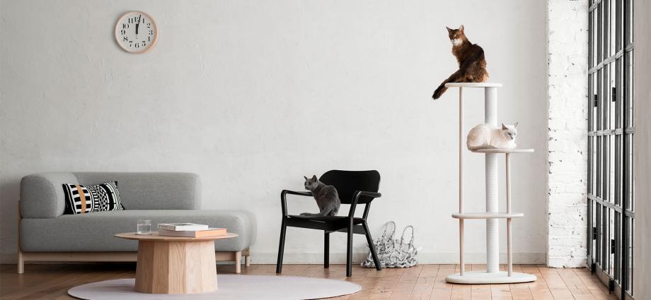 ðŸ¤© Best Cat Towers of 2021: Complete Guide To Buying The Best One On