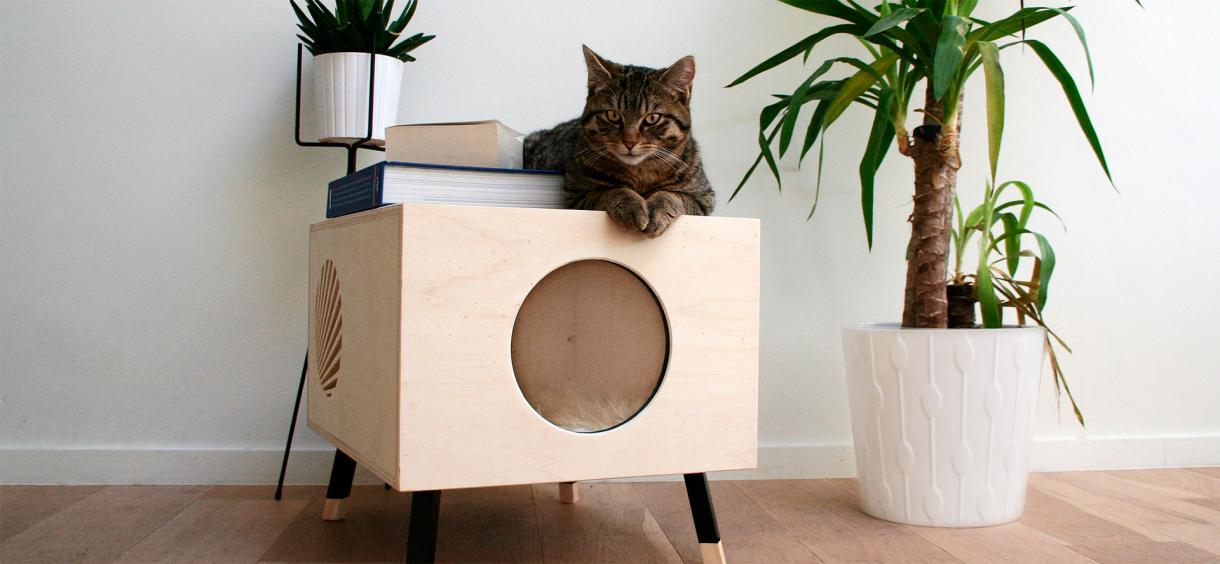 The Best Cat Houses in 2024 📖 Full Reviews And Definitive Guide by