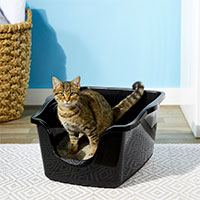 Advanced High Sided Cat Litter Box.