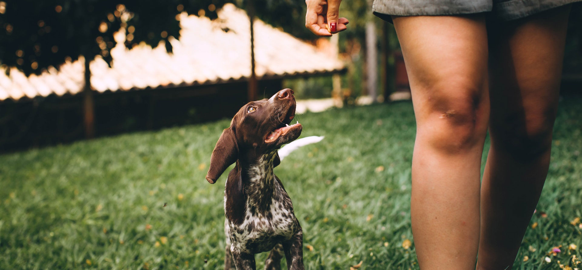 Aggressive dog names and woman.