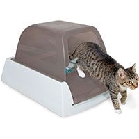 ScoopFree Covered Automatic Cat Litter Box.