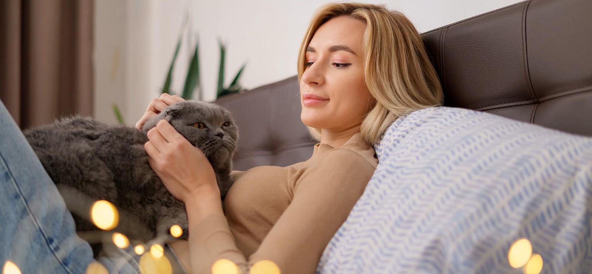 British cat laying on female chest.