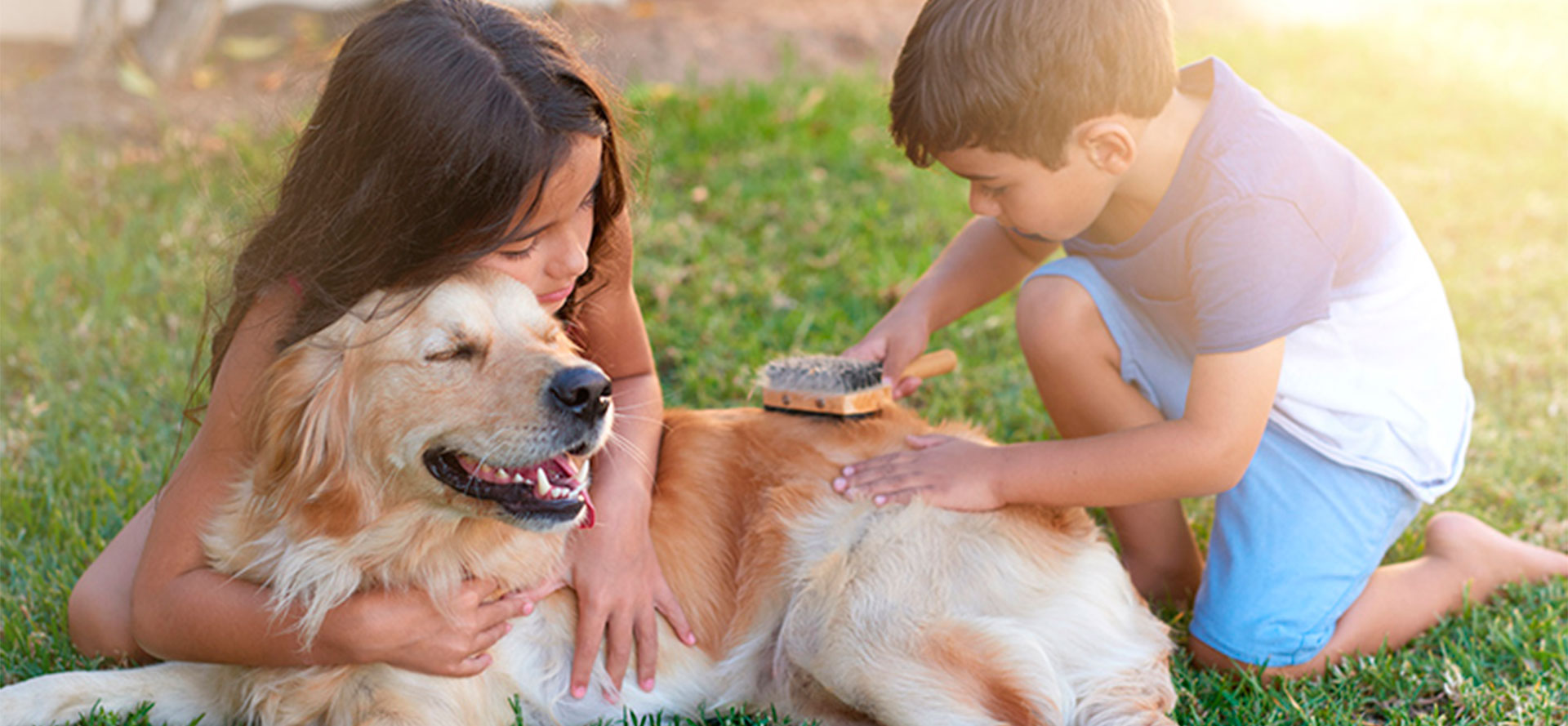 Kids brushing a dog.