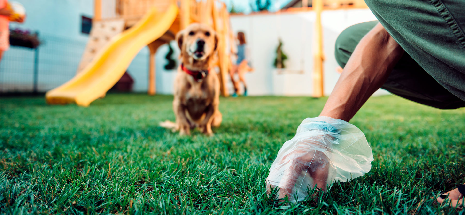 Man using dog poop bags.