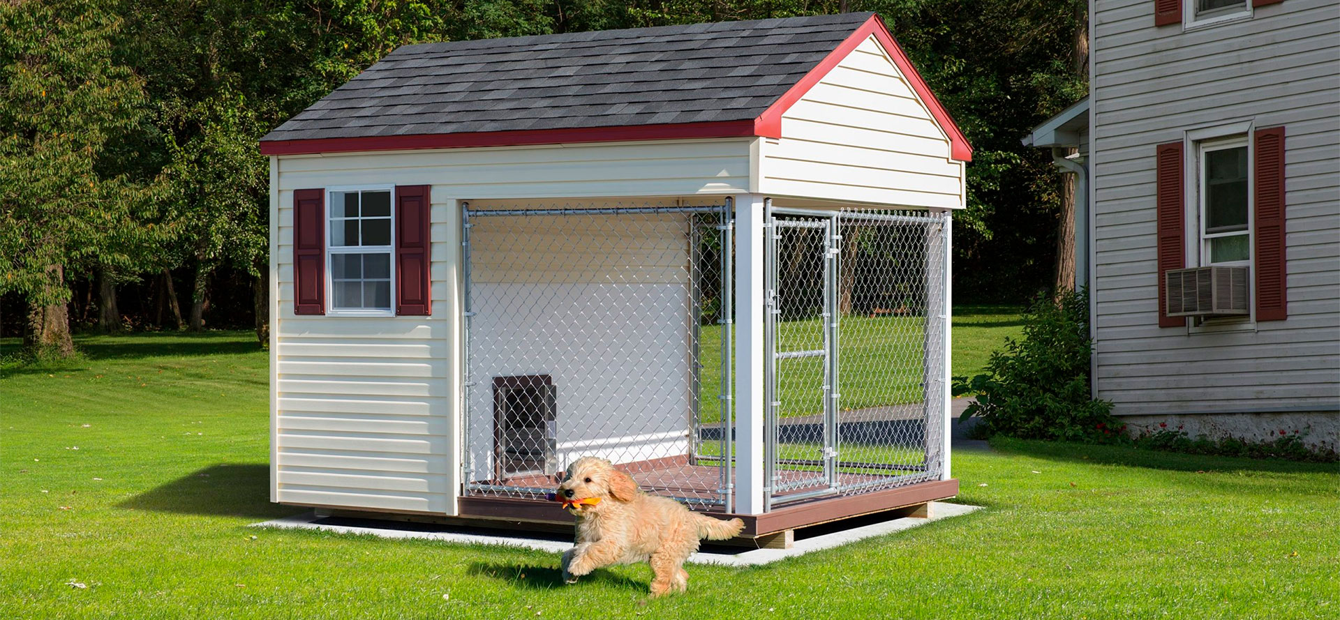 Dog and outdoor dog kennel.