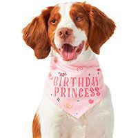 Frisco Birthday Princess Dog & Cat Bandana.