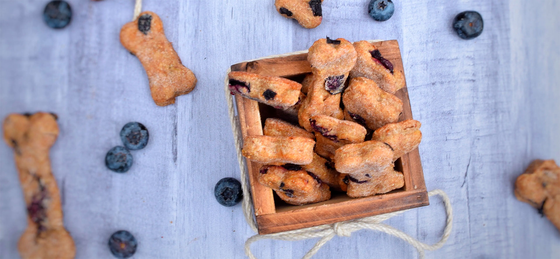 Blueberry Dog Treats.