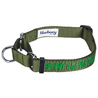 Blueberry Pet Safety Training Personalized Martingale Dog Collar.
