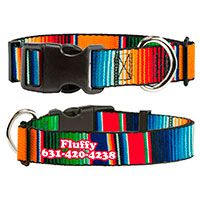 Buckle-Down Personalized Polyester Dog Collar.