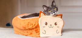 Cat lies in the bed for the cat in the form of bread.