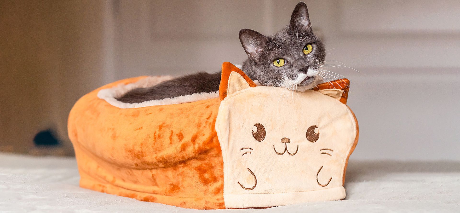 Cat lies in the bed for the cat in the form of bread.