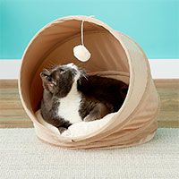 Frisco Foldable Canopy Cat Bed.
