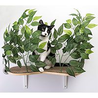 On2Pets Cat Canopy Wall Shelves.