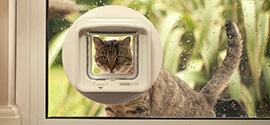 Cat looking through cat door.