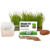The Cat Ladies Organic Pet Grass With Containers.