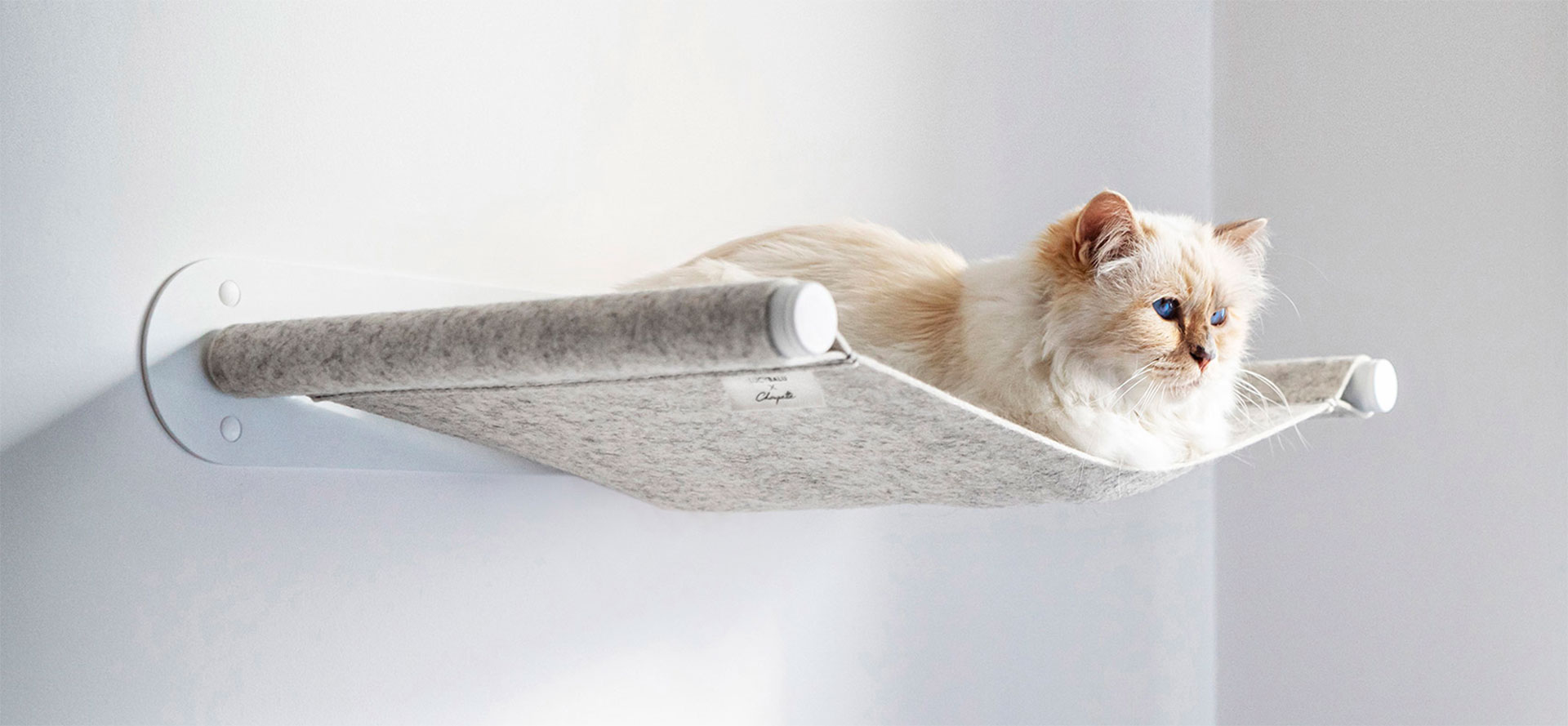 Cat Hammocks.