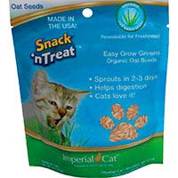 Imperial Cat Easy Grow Cat Oat Grass Seeds.