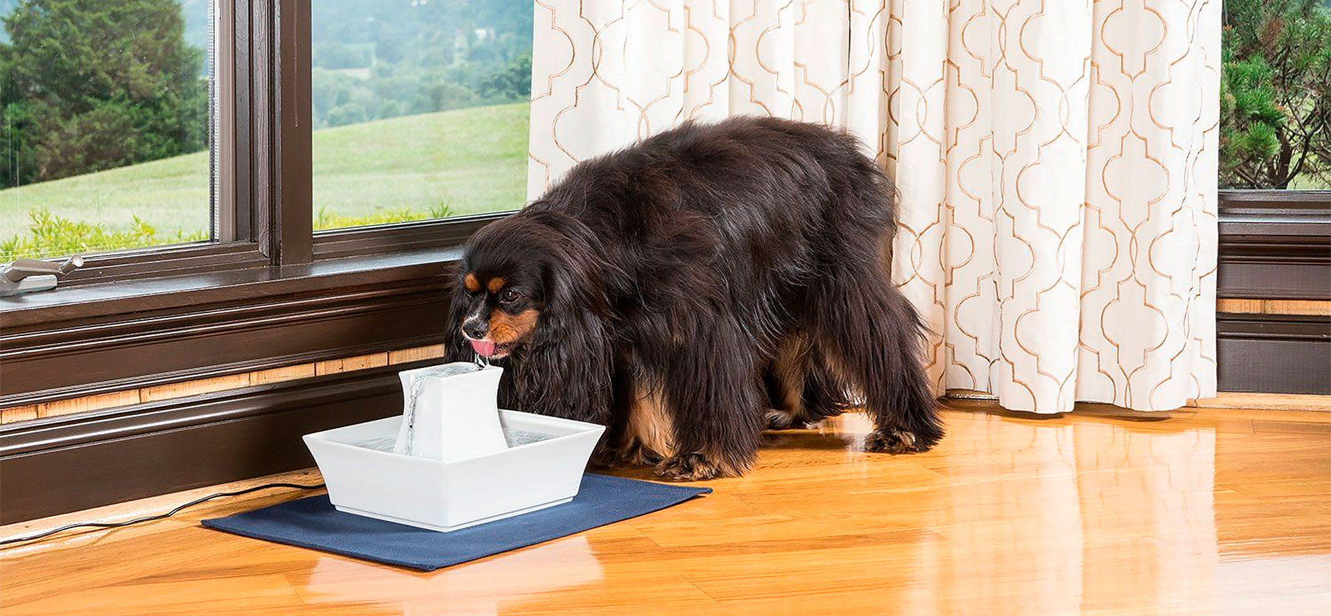 Ceramic Dog Water Fountain.