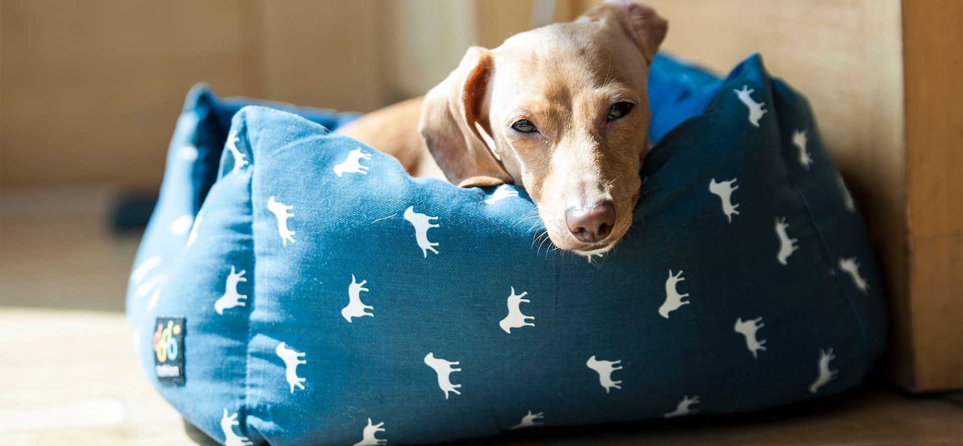 Chew Proof Dog Bed.