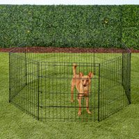 Paws & Pals Collapsible Wire Dog Exercise Pen.