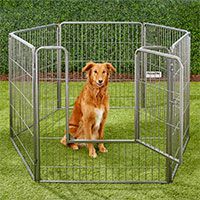 Precision Pet Products Courtyard Wire Dog Pen.