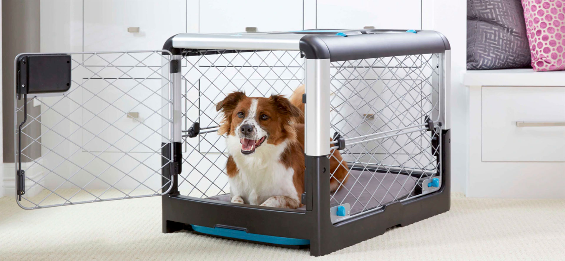 Crate for Dog.