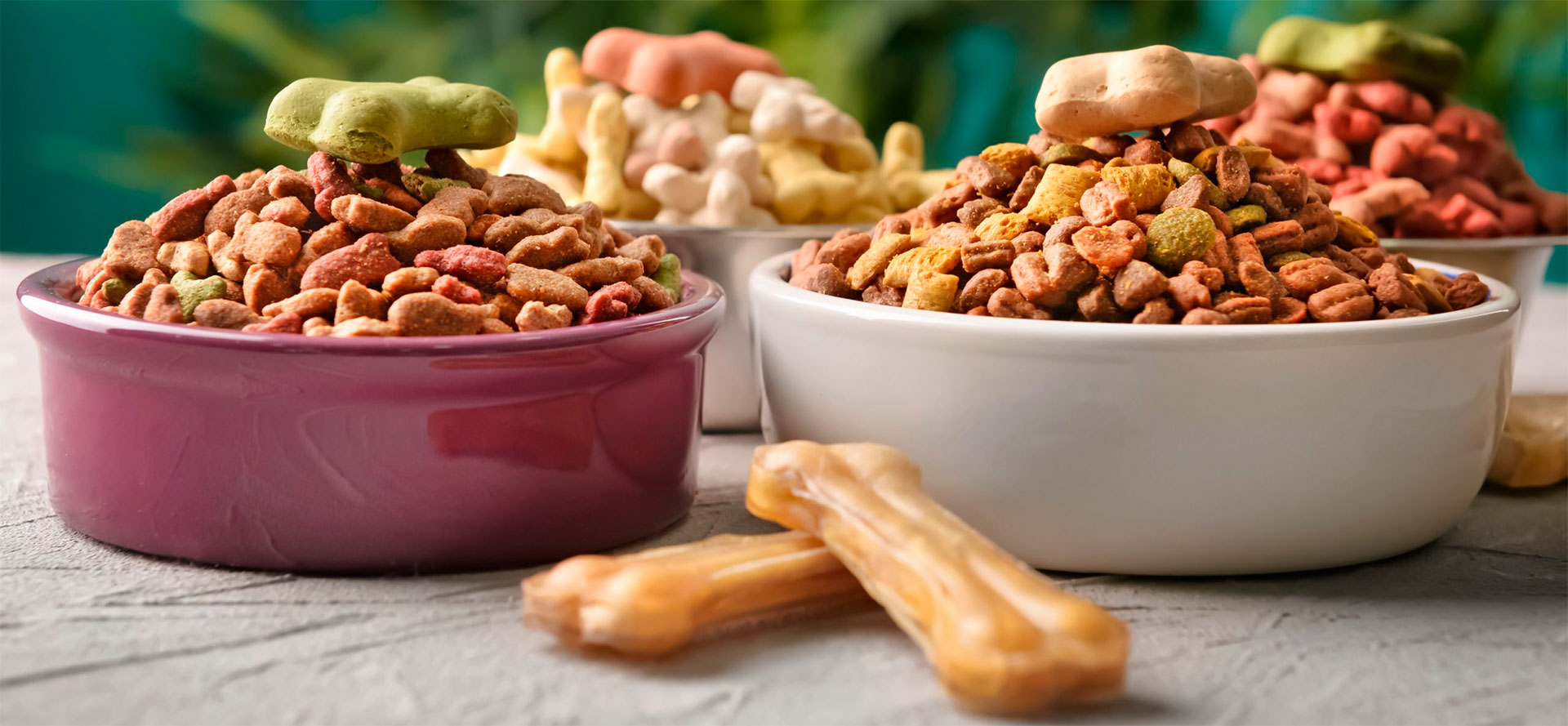 10 Best Dog Food of 2022 Reviewed: ️ Vet Recommended Dog Food by Brands