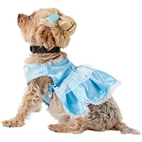 Cinderella Disney Princess Dog & Cat Costume.