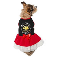 Disney Princess Enchanted Dog Dress.