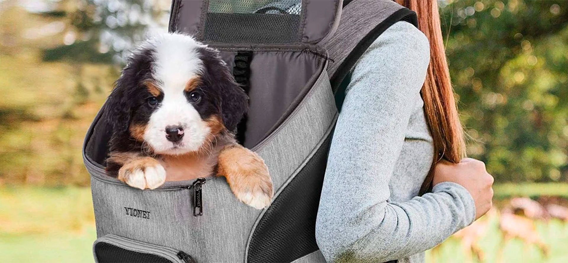Dog Backpacks.