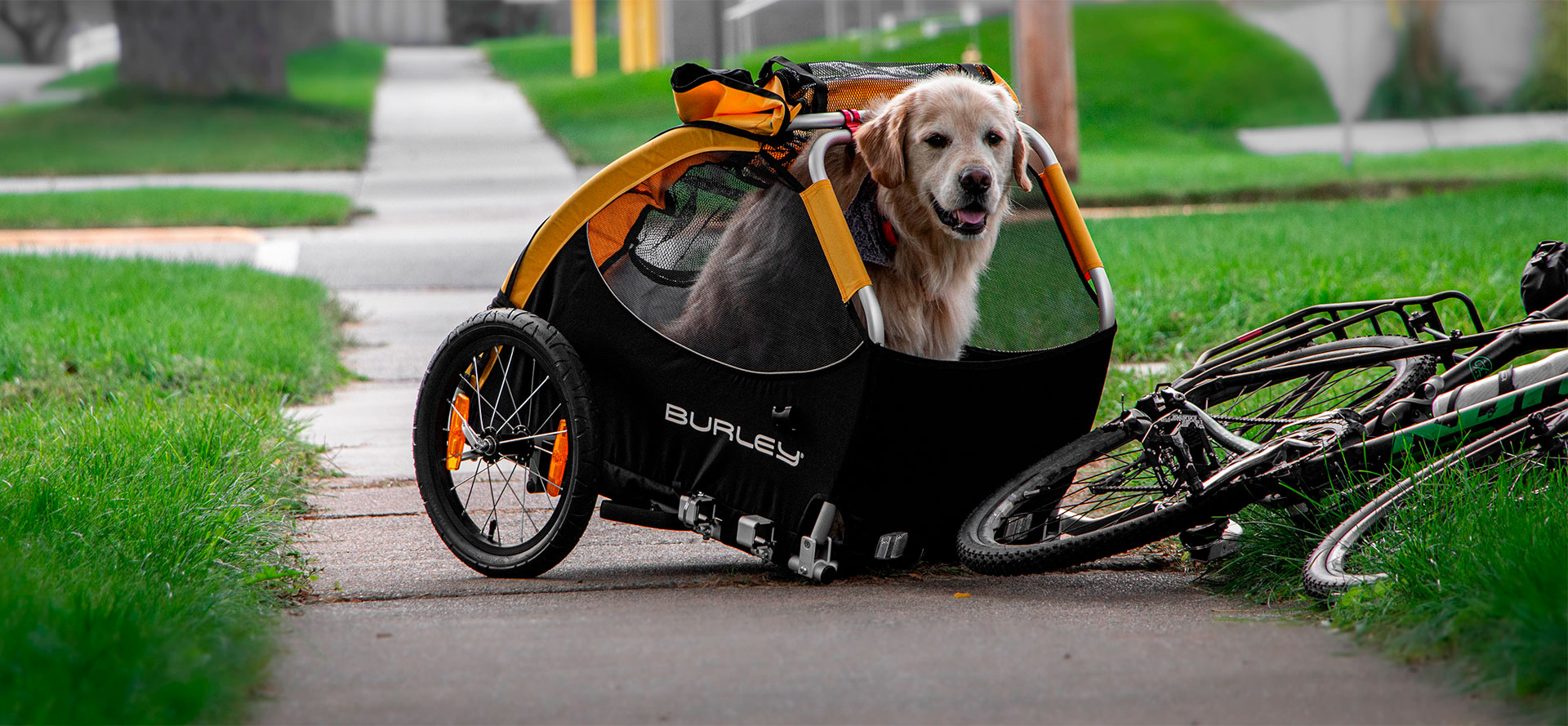 Dog Bike Stroller.