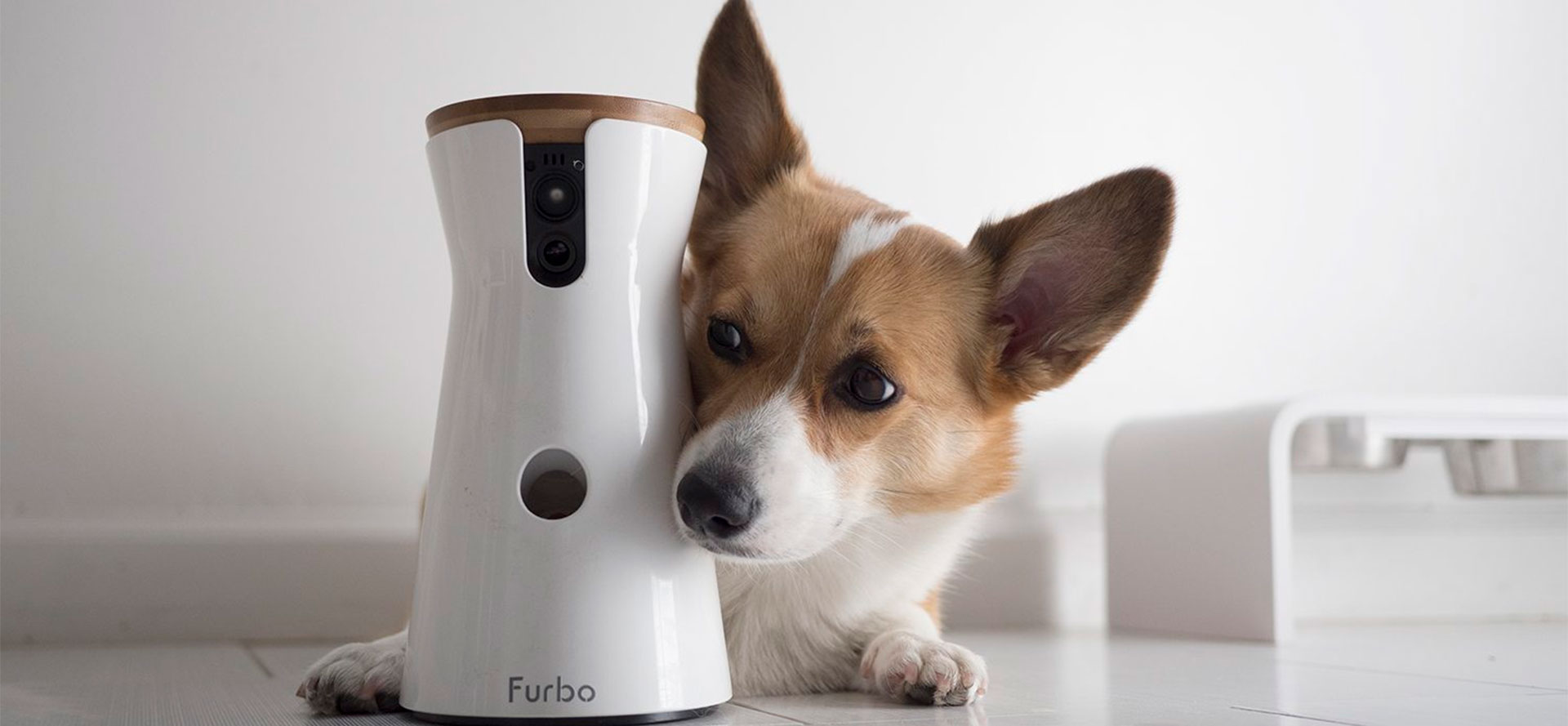 Dog camera with motion sensors.