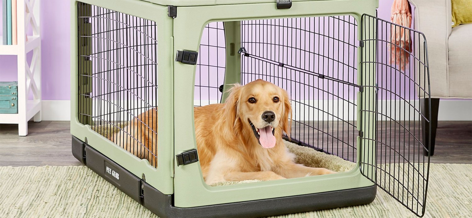 Dog in crate.