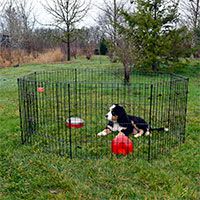 Lucky Dog Wire Dog Exercise Pen with Step-Thru Door.