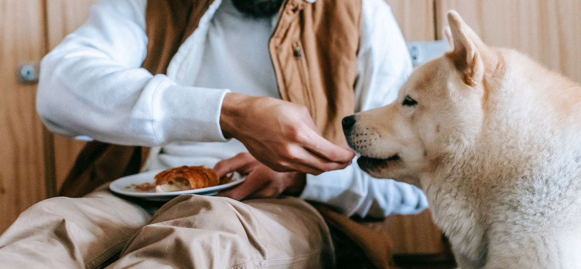 Feeding a dog.