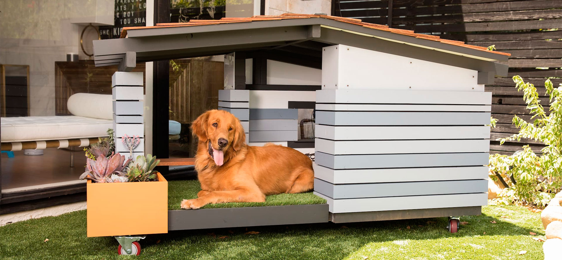 Large breed dog in dog house.