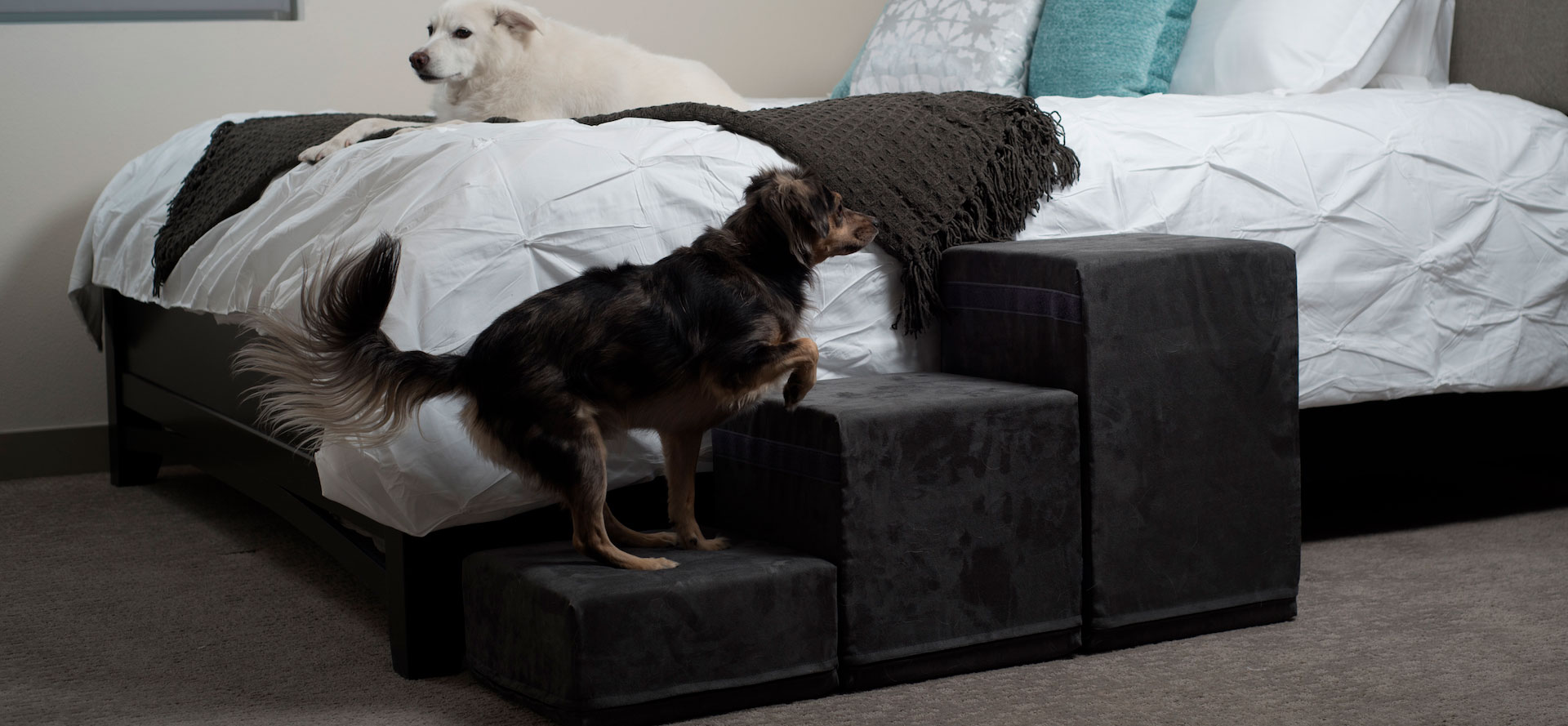 Dog Stairs for Bed.