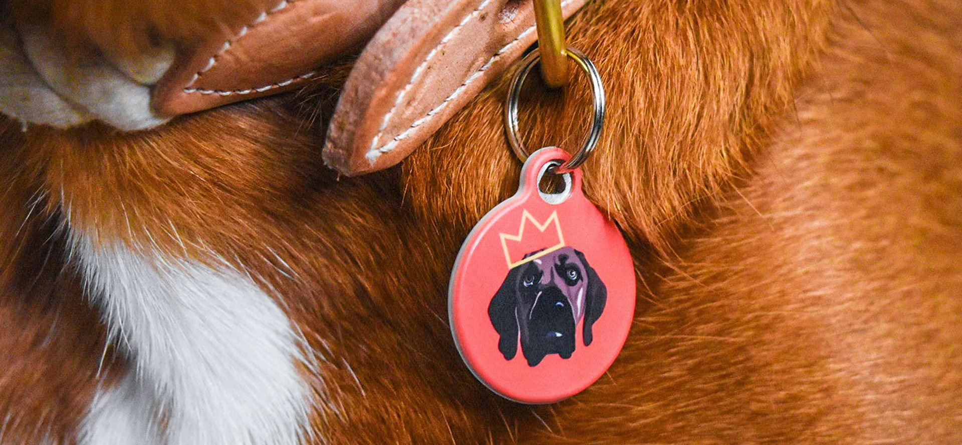 Cool dog tag.